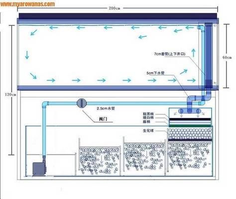 魚缸過濾泵流量計(jì)算方法：如何計(jì)算魚缸過濾泵的流量 魚缸百科 第2張