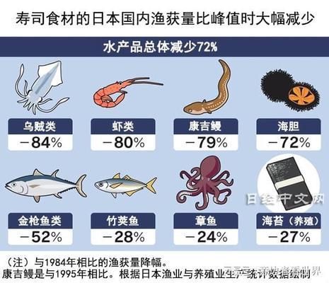 金龍魚吊墜寓意什么：金龍魚吊墜寓意著什么？ 水族問答 第2張