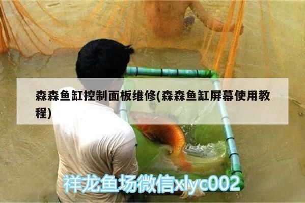 森森魚缸操作：森森魚缸的操作