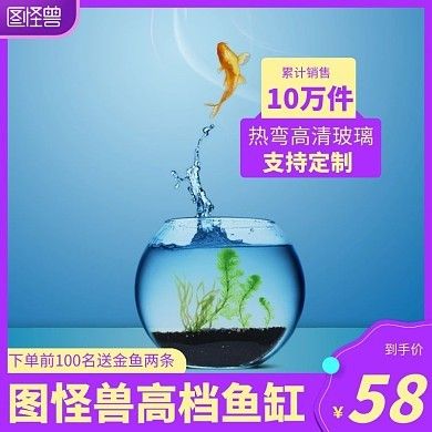 高級魚缸：高級魚缸的設(shè)計(jì)、材料選擇和制作過程 魚缸百科 第3張