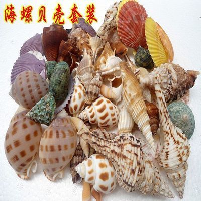 魚缸DIY：生態(tài)魚缸設計要點解析