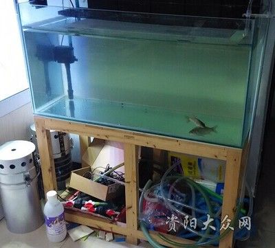 魚缸安裝方法視頻：魚缸安裝方法文字版教程：魚缸安裝方法視頻詳情 魚缸百科 第1張