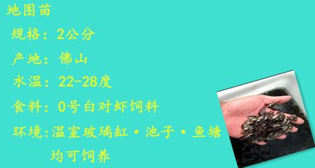 金龍魚(yú)多大爬背結(jié)束喂食好：如何判斷金龍魚(yú)是否需要更多的營(yíng)養(yǎng)？ 水族問(wèn)答 第1張