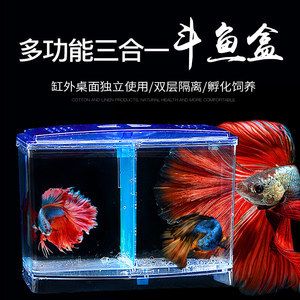 魚缸隔離盒能養(yǎng)魚嗎：如何自制魚缸隔離盒 魚缸百科 第4張