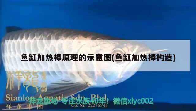 魚缸加熱棒好不好：如何選擇合適的魚缸加熱棒 魚缸百科 第4張