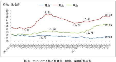 金龍魚多久可以繁殖出來：關(guān)于金龍魚繁殖的一些問題 水族問答 第2張