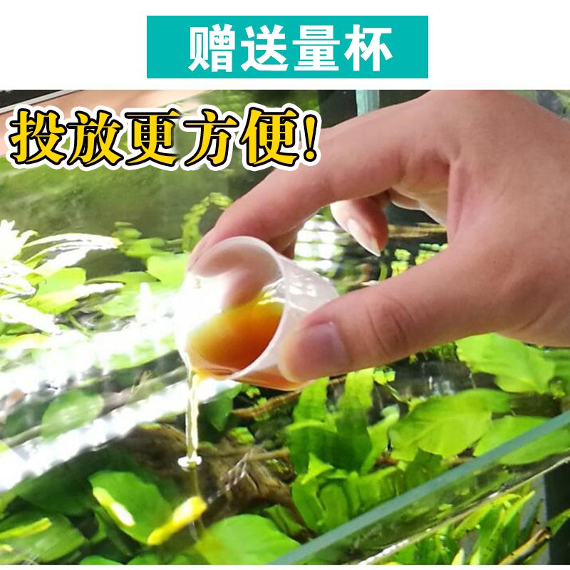 如何判斷魚缸水質穩(wěn)定：怎樣判斷魚缸水質穩(wěn)定？ 魚缸百科 第5張