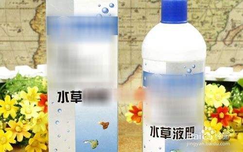 魚缸水草肥料選擇指南：魚缸水草肥料的選擇是維持水草健康生長和水質(zhì)清潔的關(guān)鍵 魚缸百科 第5張