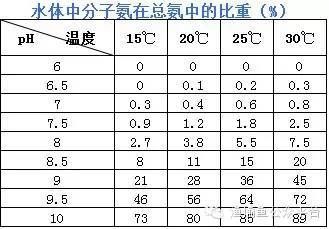 金龍魚多少度：關(guān)于金龍魚的問題 水族問答 第3張