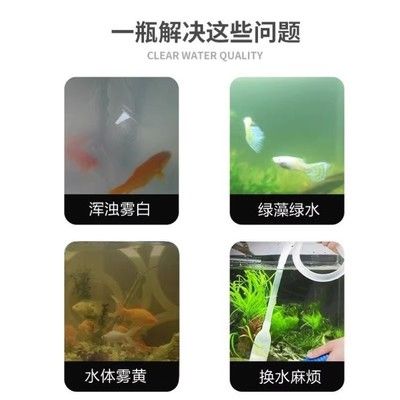 魚缸水質(zhì)凈化劑副作用：魚缸水質(zhì)凈化劑正確使用指南 魚缸百科 第3張