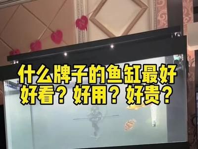 性價比高的龍魚缸品牌推薦：性價比較高的龍魚缸品牌 龍魚百科 第3張