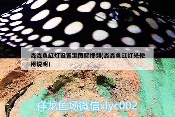 森森魚缸燈自動設置說明書：森森魚缸燈自動模式常見問題 魚缸百科 第2張