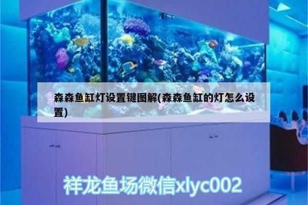 森森魚缸燈自動設置說明書：森森魚缸燈自動模式常見問題 魚缸百科 第3張