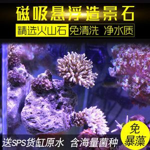 彩色魚(yú)缸造景石廠(chǎng)家電話(huà)多少：北京彩色魚(yú)缸造景石廠(chǎng)家 魚(yú)缸百科 第1張