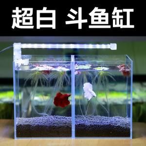 泰國金魚缸服務(wù)照片：泰國金魚缸服務(wù)照片顯示了一家位于曼谷的著名金魚餐廳