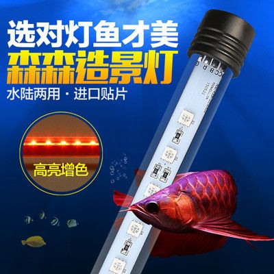 魚缸燈管多少錢一個：魚缸燈管價格