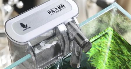 魚缸里的過濾器怎么不出水了：魚缸過濾器不出水怎么辦