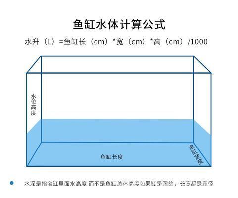 養(yǎng)龍魚的水位多高：養(yǎng)龍魚的水位高度一般推薦控制在30-50厘米之間 龍魚百科 第3張