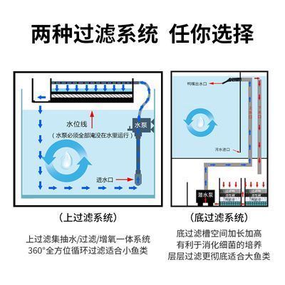 龍魚缸水位：龍魚缸水位的調節(jié)至關重要， 龍魚百科 第2張