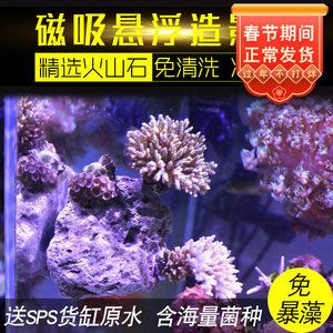 魚缸珊瑚造景過程視頻大全：魚缸珊瑚造景視頻大全視頻大全涵蓋了魚缸珊瑚造景的全過程