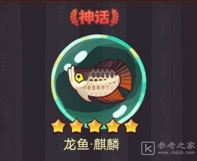 龍魚(yú)之家論壇：龍魚(yú)之家論壇新手指南