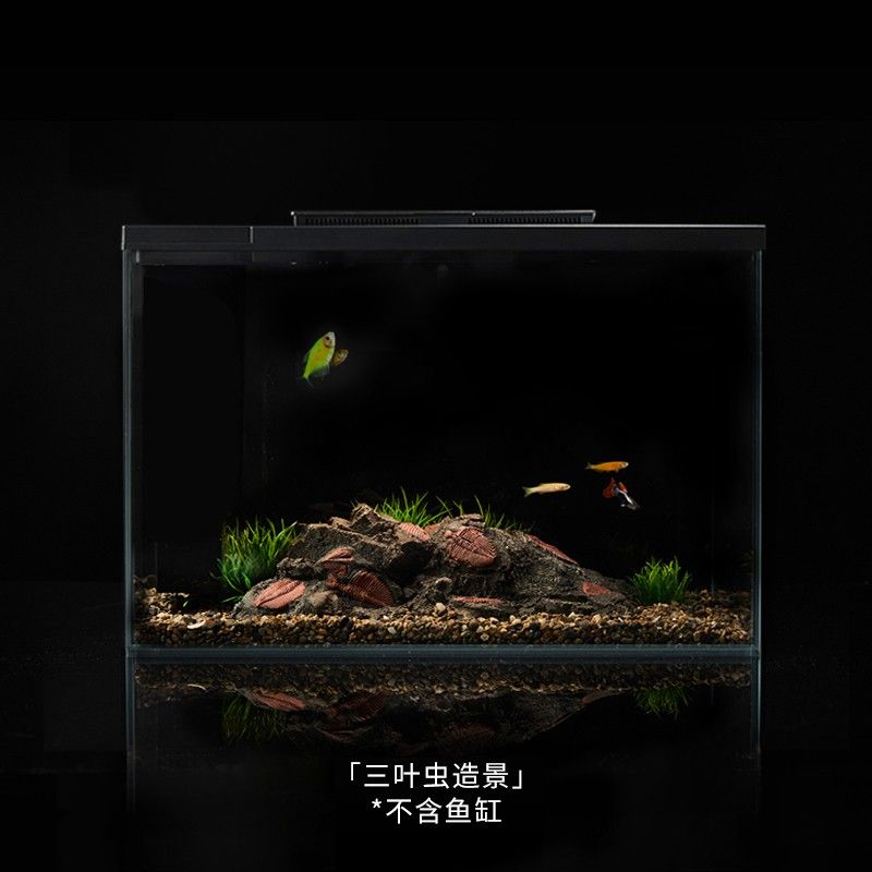 起源紀(jì)魚缸的問題：起源紀(jì)智能魚缸 魚缸百科 第4張