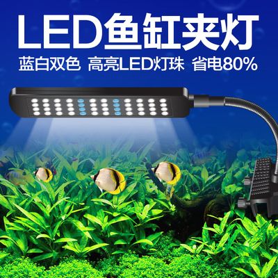 魚缸LED燈節(jié)能效果對比：如何選擇適合魚缸的led燈 魚缸百科 第4張