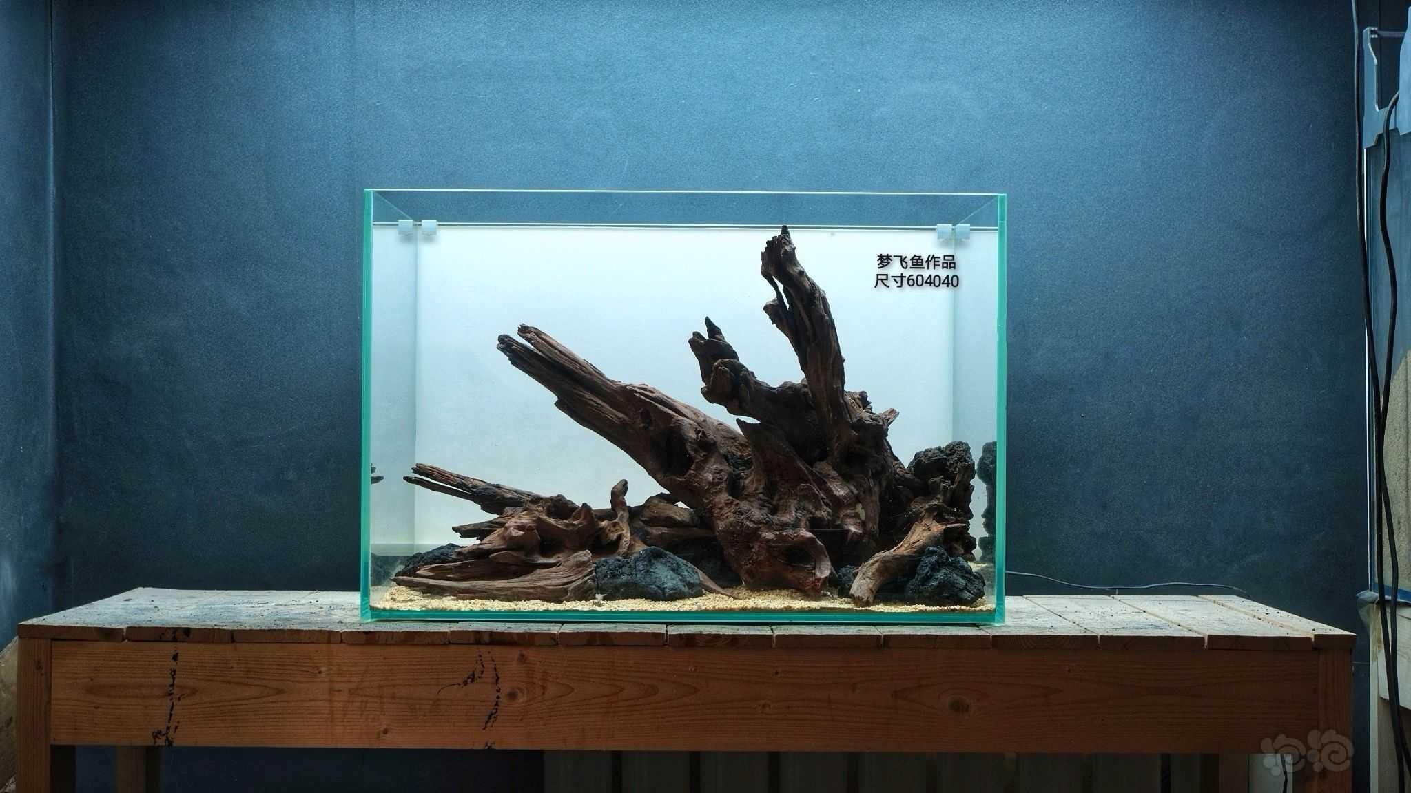 龍魚缸沉木造景效果圖：龍魚缸沉木造景效果圖是一種通過水族箱中加入木質裝飾物來創(chuàng)造自然景觀效果 龍魚百科 第4張