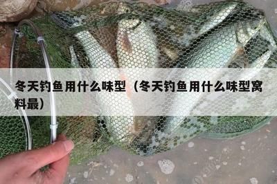 金龍魚高筋麥芯粉5kg價(jià)格：5kg金龍魚高筋麥芯粉的零售價(jià)是多少？ 水族問答 第2張