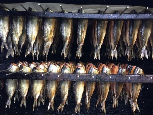 金龍魚高筋麥芯小麥粉價格區(qū)別很大有啥區(qū)別：-金龍魚高筋小麥粉和麥芯小麥粉的價格差距有多大 水族問答 第1張