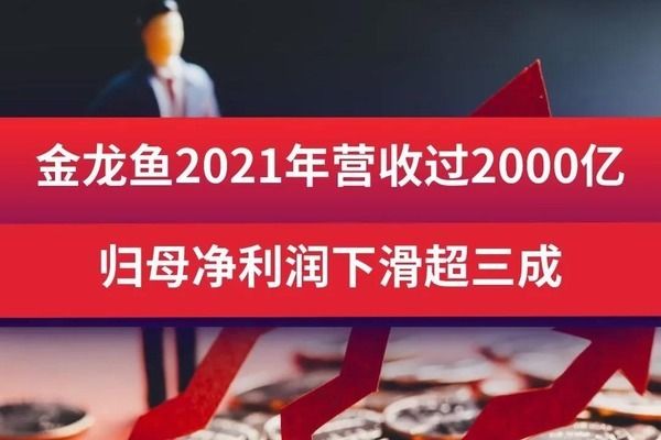 上海紅龍魚專賣店2021年營收：2021年上海紅龍魚專賣店2021年營收435,000元 紅龍魚百科 第1張