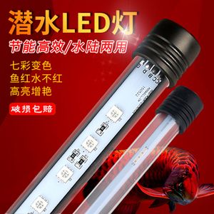 龍魚燈管好還是led燈好：龍魚燈管與led燈哪個(gè)更好 龍魚百科 第2張