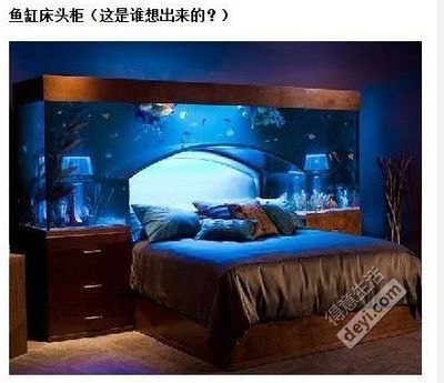 床頭魚缸好不好：床頭擺放魚缸是否適合？ 魚缸百科 第4張