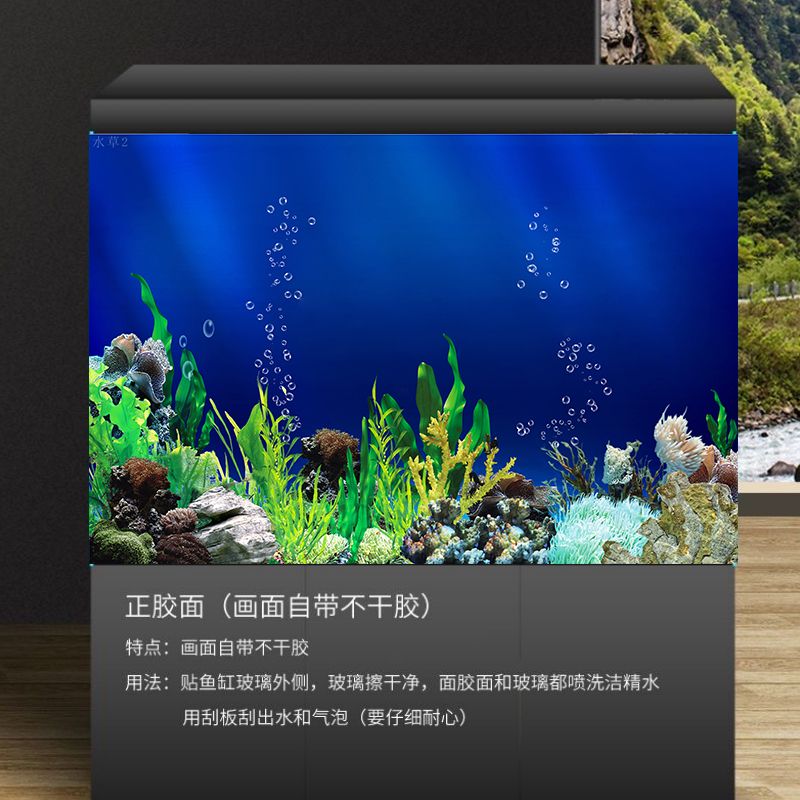 魚缸背景貼怎么貼：魚缸背景貼維護(hù)技巧， 魚缸百科 第3張