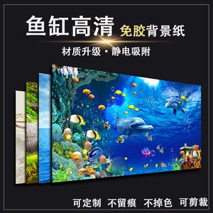 魚缸背景貼怎么貼：魚缸背景貼維護(hù)技巧， 魚缸百科 第2張