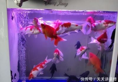 季節(jié)變化對(duì)魚缸水質(zhì)影響：季節(jié)變化對(duì)魚缸水質(zhì)的影響 魚缸百科 第5張