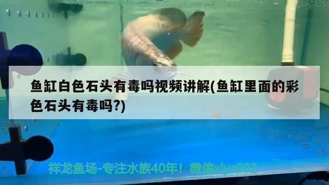 魚缸彩石有毒嗎：如何辨別魚缸彩石是否有毒 魚缸百科 第4張