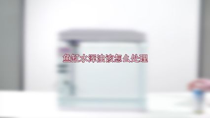 魚缸澄清劑什么牌子好用：好用的魚缸澄清劑有哪些？ 魚缸百科 第4張