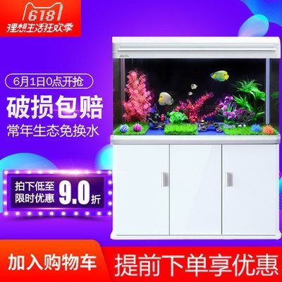 龍魚氧氣泵用一直開么：龍魚氧氣泵是否需要一直開啟 龍魚百科 第1張