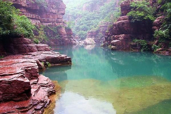 金龍魚股市蒸發(fā)：金龍魚在股市遭遇蒸發(fā) 水族問答 第1張