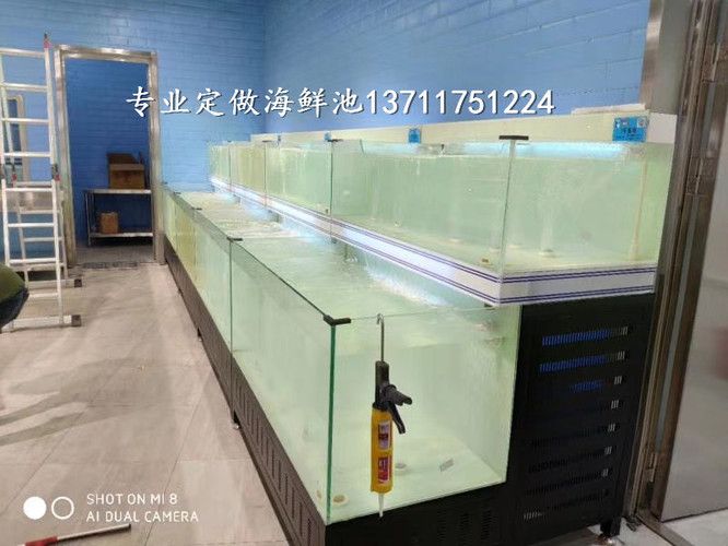 金龍魚掛畫能不能放家中：為什么金龍魚掛畫適合放在家中？ 水族問答 第1張