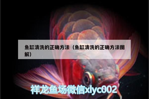 魚缸清潔對(duì)魚類影響：魚缸清潔對(duì)魚類健康有影響嗎？ 魚缸百科 第5張