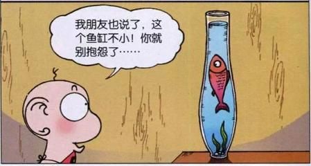 我的心愛之物魚缸里的小魚：—魚缸里的小魚常見疾病及防治方法 魚缸百科 第3張