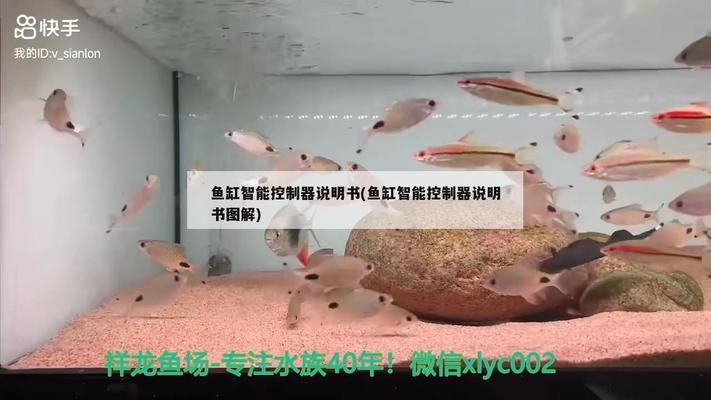 魚缸燈光定時(shí)調(diào)整：魚缸燈光定時(shí)的操作步驟和技巧 魚缸百科 第3張