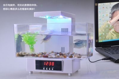 魚缸產(chǎn)品：未來魚缸產(chǎn)品的發(fā)展趨勢和技術(shù)革新方向 魚缸百科 第2張