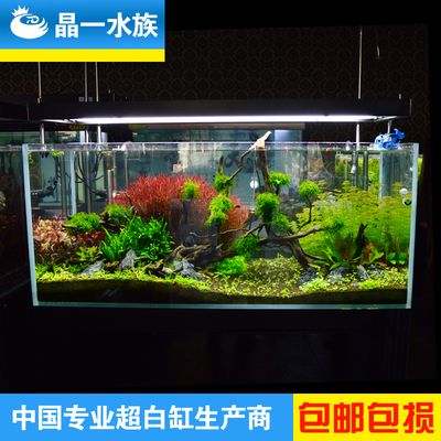 晶一魚(yú)缸好不：晶一魚(yú)缸與ada比較,超白玻璃魚(yú)缸維護(hù)技巧,晶一魚(yú)缸用戶評(píng)價(jià)匯總