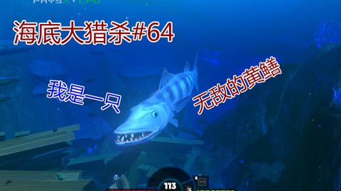 夢魚缸視頻：夢魚缸視頻更新頻率夢魚缸視頻主題內(nèi)容評(píng)價(jià) 魚缸百科 第5張