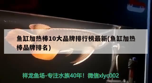 魚缸加熱棒十大品牌排名：2024年魚缸加熱棒十大品牌