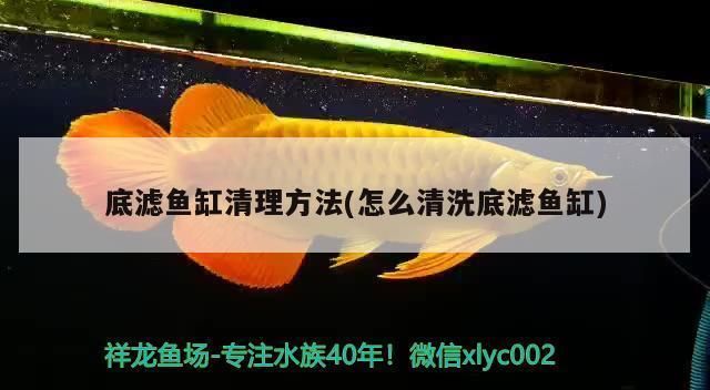 底濾魚缸怎么拆洗視頻：“底濾魚缸怎么拆洗視頻詳情”底濾魚缸拆洗步驟詳解 魚缸百科 第4張