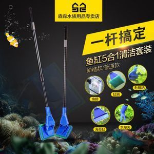 龍魚缸用什么工具魚好看一點：龍魚缸適合養(yǎng)哪些小型工具魚